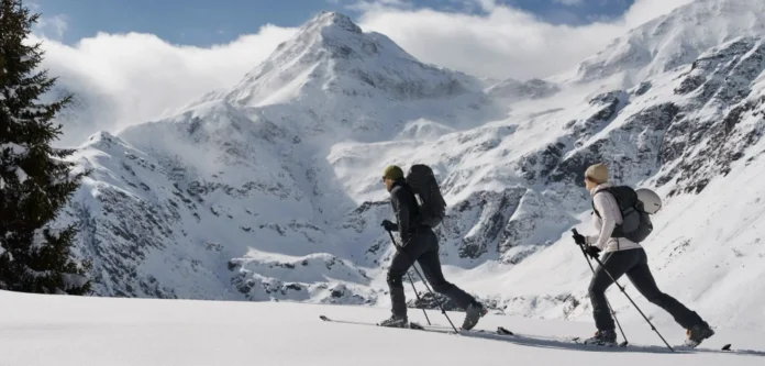 Zajo Merinokollektion